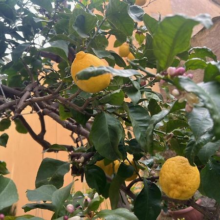 Appartamento Vicino Al Mare Moneglia Εξωτερικό φωτογραφία