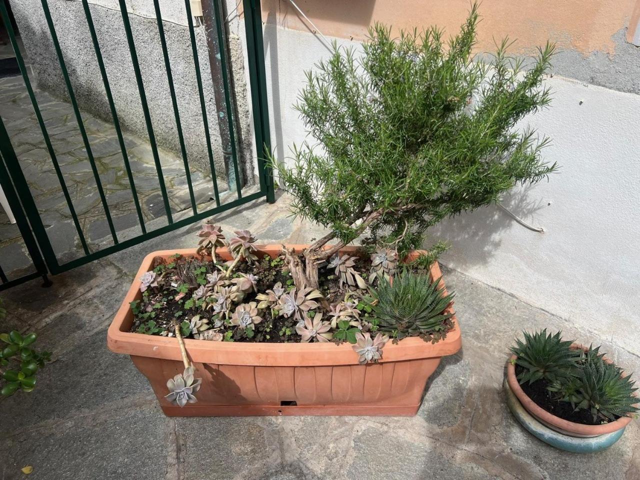 Appartamento Vicino Al Mare Moneglia Εξωτερικό φωτογραφία